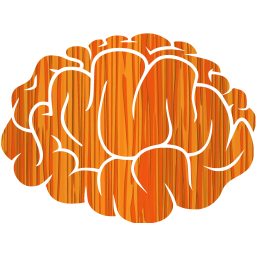 brain 2 icon