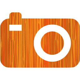 compact camera icon