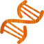 dna helix