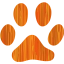 footprints cat
