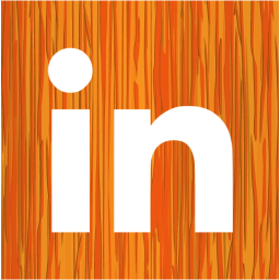 linkedin 2 icon