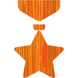 medal icon