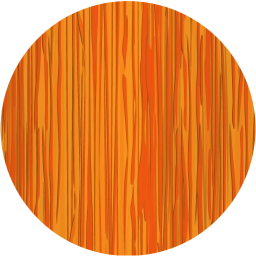 record icon