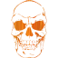 skull 41