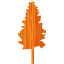 tree 19