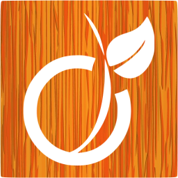 viadeo 5 icon
