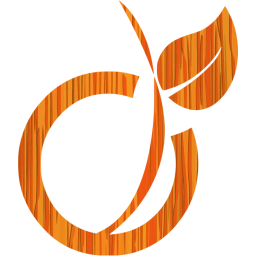 viadeo icon