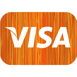 visa icon