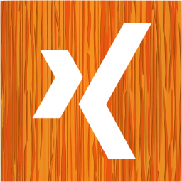 xing 2 icon