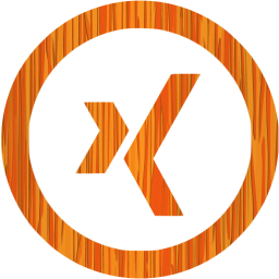 xing 5 icon