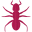 ant 3
