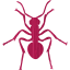 ant