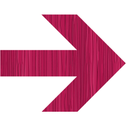 arrow 21 icon