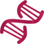 dna helix