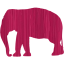 elephant 4