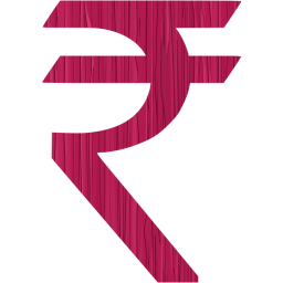 indian rupee icon