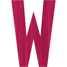 letter w icon