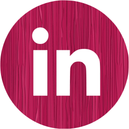 linkedin 4 icon