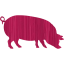 pig 4