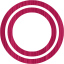 plasmid