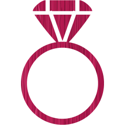 ring 2 icon