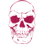 skull 41