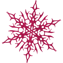 snowflake 14 icon