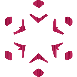 snowflake 21 icon