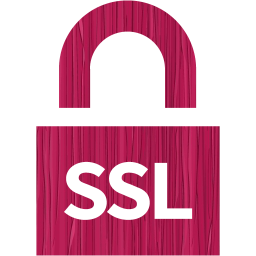 ssl badge 4 icon