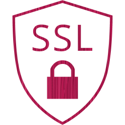 ssl badge icon