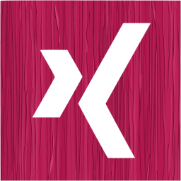 xing 2 icon