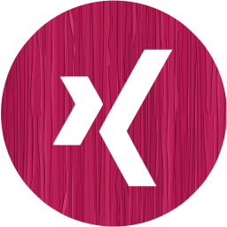 xing 4 icon