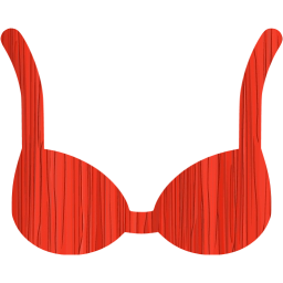 bra icon