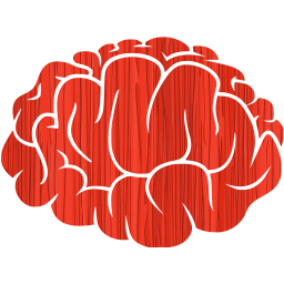 brain 2 icon