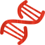 dna helix