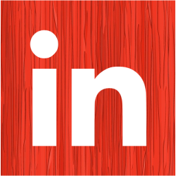 linkedin 2 icon