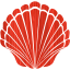 seashell 2
