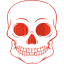 skull 55