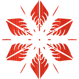 snowflake 5 icon