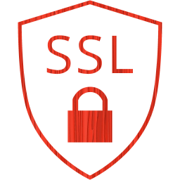 ssl badge icon