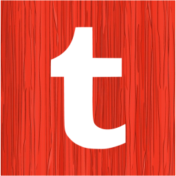 tumblr 2 icon