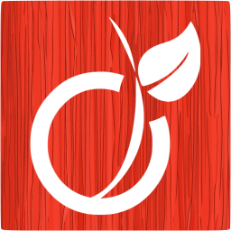 viadeo 5 icon