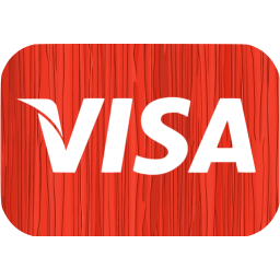 visa icon