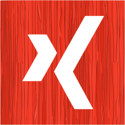 xing 2 icon