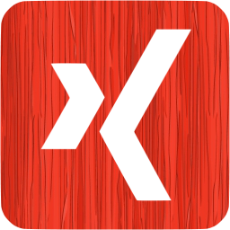 xing 3 icon