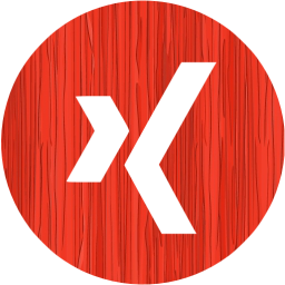 xing 4 icon