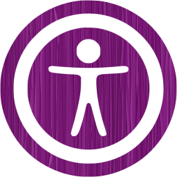 accessibility 2 icon