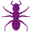ant 3