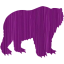 bear 3