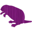 beaver